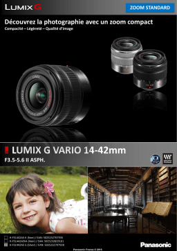Panasonic 14-42mm f3.5-5.6 II silver Lumix G Vario Objectif pour Hybride Product fiche