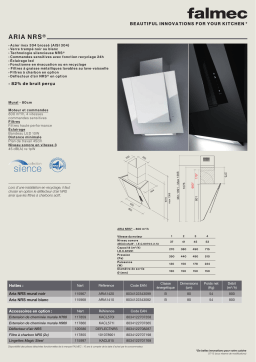 Falmec ARIA1420 Hotte décorative murale Manuel utilisateur