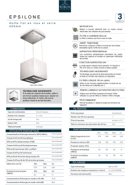 Roblin EPSILONE 400 VERRE BL Hotte décorative îlot Product fiche