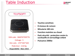 Brandt TI1FSOFT Plaque induction Product fiche