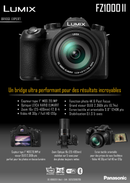 Panasonic DMC-FZ1000 MII Appareil photo Bridge Product fiche