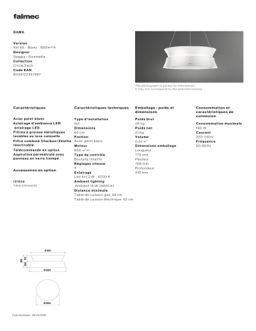 Product information | Falmec DAMA2210 Hotte décorative îlot Product fiche | Fixfr
