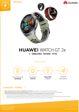 Huawei GT 2E Rouge Montre connectée Manuel utilisateur