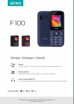Wiko F100 Noir Téléphone portable Product fiche