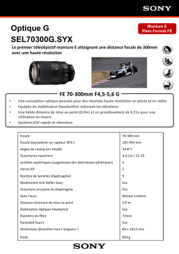 Sony FE 70-300MM f/4.5-5.6 G oss Noir Objectif pour Reflex Plein Format Product fiche