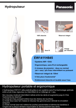 Panasonic EW1411 Hydropulseur Product fiche