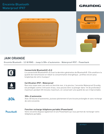 Product information | Grundig JAM Orange Enceinte Bluetooth Product fiche | Fixfr