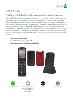Doro 6040 Noir Téléphone portable Product fiche