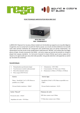 Rega BRIO Amplificateur HiFi Product fiche