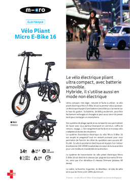 Micro Mobility Ebike 6 vitesses Vélo électrique Product fiche