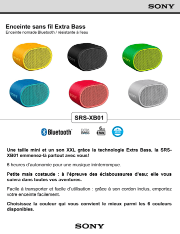 Product information | Sony SRS-XB01B Noir Extra Bass Enceinte Bluetooth Product fiche | Fixfr