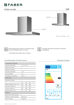 Faber TSP 900 INOX Hotte décorative murale Product fiche