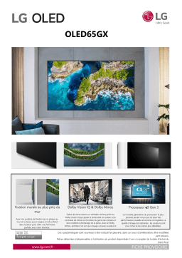 LG 65GX6 2020 TV OLED Product fiche