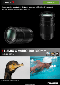 Panasonic 100-300mm f/4.0-5.6 II OIS Lumix G Vario Objectif pour Hybride Product fiche