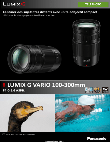 Product information | Panasonic 100-300mm f/4.0-5.6 II OIS Lumix G Vario Objectif pour Hybride Product fiche | Fixfr