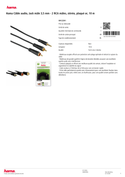 Hama audio jack 3.5 mm 2 fiches Cinch st Câble Jack Product fiche