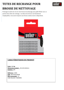 Weber TETE REMPL EPONGE METAL Nettoyant Product fiche