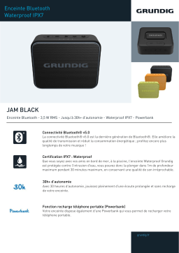 Grundig JAM Noir Enceinte Bluetooth Product fiche