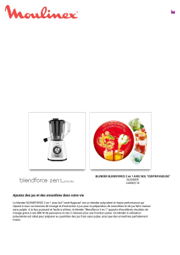 Moulinex BLENDFORCE 2en1 LM43Q110 Blender Product fiche