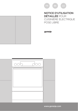 Gorenje EC6353XPA Cuisinière vitrocéramique Owner's Manual