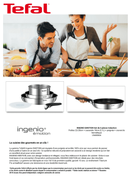 Tefal Ingenio emotion revetu 5 pcs L948S504 Batterie de cuisine Product fiche
