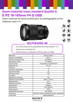 Sony SEL 18-105mm f4 G motorisé Objectif pour Hybride Product fiche