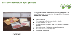 Food Saver FVB016X01 lot 20 sacs avec Zip 3.79L Sac de conservation Product fiche