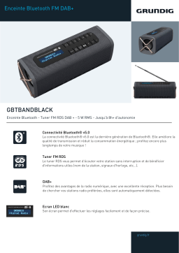 Grundig GBT Band Black Radio numérique Product fiche