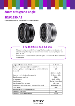 Sony SEL Pancake 16-50mm f/3.5-5.6 Objectif pour Hybride Product fiche