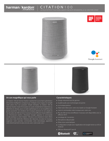 Product information | Harman Kardon Citation 100 Gris Enceinte Product fiche | Fixfr