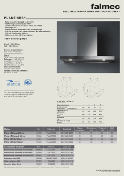Falmec PLANE2430 Hotte décorative îlot Manuel utilisateur