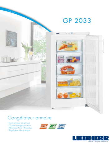 Product information | Liebherr GP2033-21 Congélateur armoire Product fiche | Fixfr