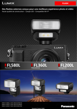 Panasonic DMW-FL200LE Flash Product fiche