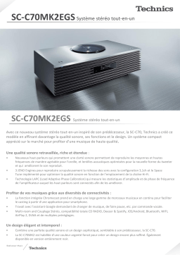 Technics Ottava SC-C70MK2EGS Enceinte Bluetooth Product fiche