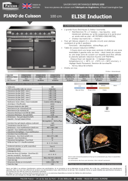 Falcon ELISE 100 INDUCTION Inox Piano de cuisson induction Manuel utilisateur