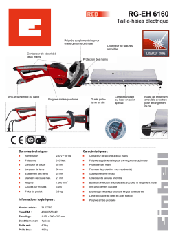 EINHELL RG-EH 6160 Manuel utilisateur