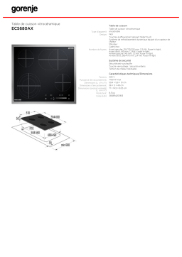 Gorenje ECS680AX Manuel utilisateur