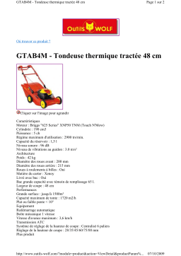 Wolf GTAB4M Manuel utilisateur