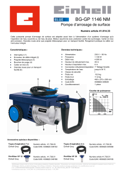 EINHELL BG-GP 1146 NM Manuel utilisateur