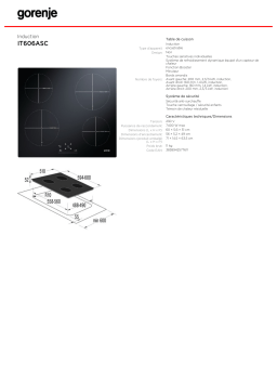 Gorenje IT606ASC Manuel utilisateur