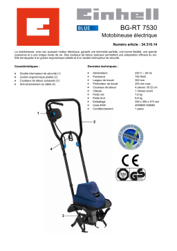 EINHELL BG-RT 7530 Manuel utilisateur