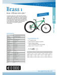 GIANT BICYCLES BRASS 1 Manuel utilisateur