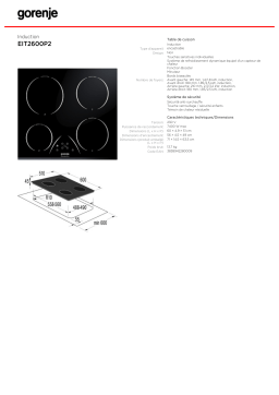 Gorenje EIT2600P2 Manuel utilisateur