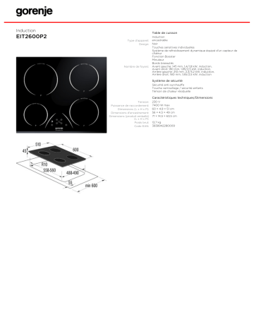 Manuel du propriétaire | Gorenje EIT2600P2 Manuel utilisateur | Fixfr