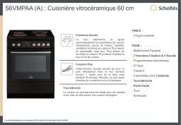 Scholtes S6VMPAA(A) Manuel utilisateur