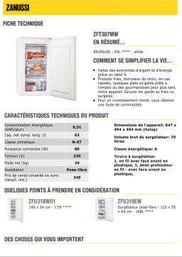 Zanussi ZFT307MW Manuel utilisateur