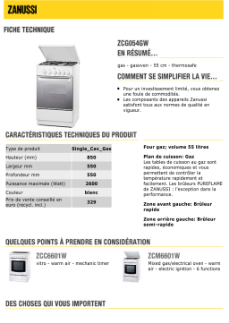 Zanussi ZCG054GW Manuel utilisateur