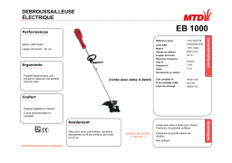 MTD EB 1000 Manuel utilisateur