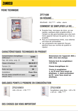 Zanussi ZFT710W Manuel utilisateur