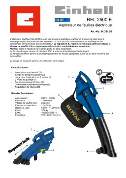 EINHELL REL 2500 E Manuel utilisateur